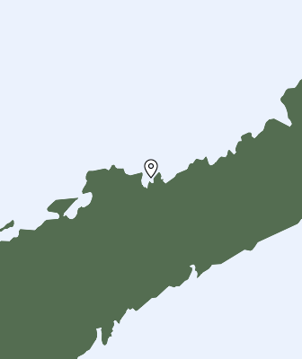 Niederschlagsprognose
