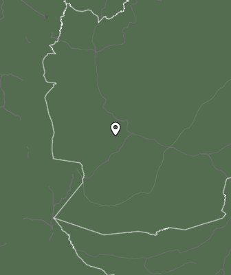 Niederschlagsprognose