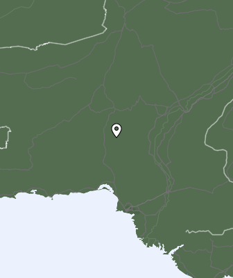 Niederschlagsprognose