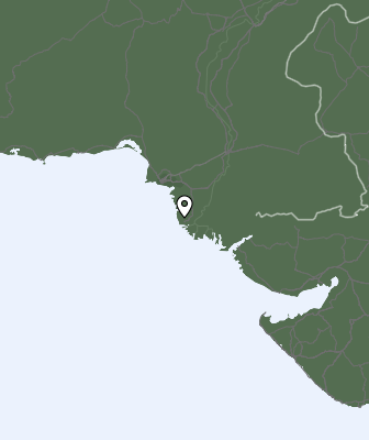 Niederschlagsprognose