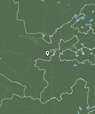 Niederschlagsprognose