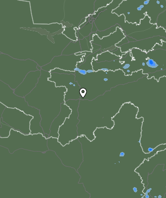 Niederschlagsprognose