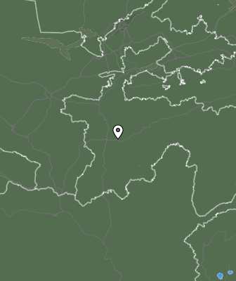 Niederschlagsprognose
