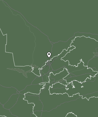 Niederschlagsprognose