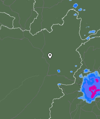Валежи