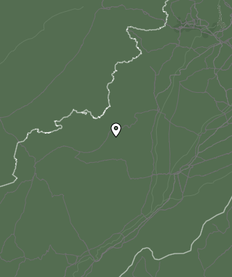 Niederschlagsprognose