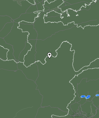 Валежи