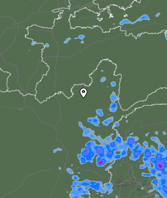 Валежи