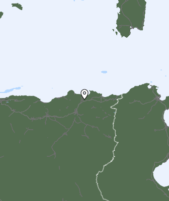 Niederschlagsprognose