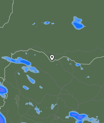 Валежи