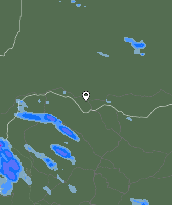 Валежи