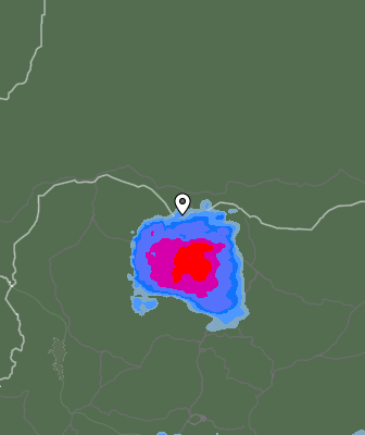 Валежи
