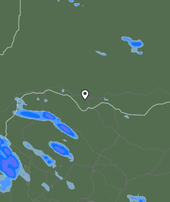 Валежи
