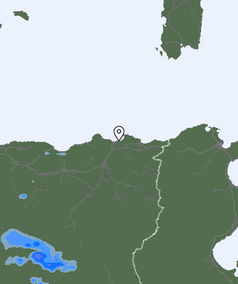 Валежи