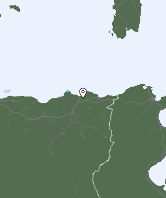 Niederschlagsprognose
