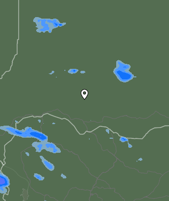 Валежи