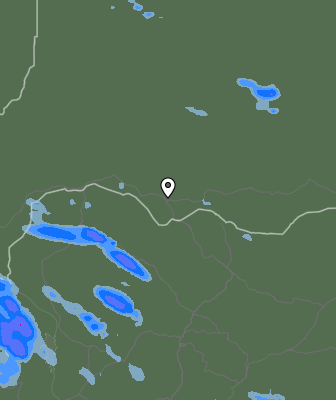 Валежи