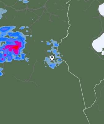 Валежи