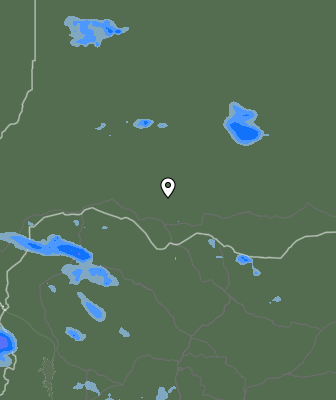 Валежи