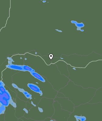 Валежи