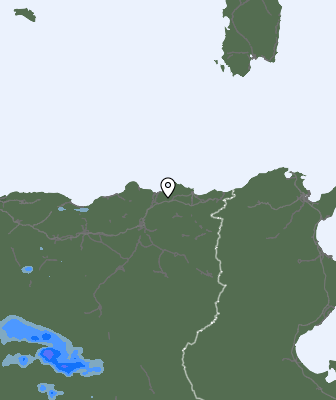 Валежи