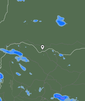 Валежи