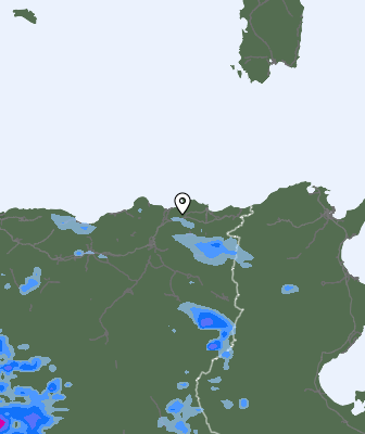 Валежи