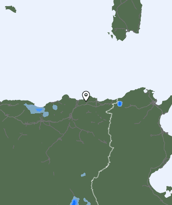 Niederschlagsprognose