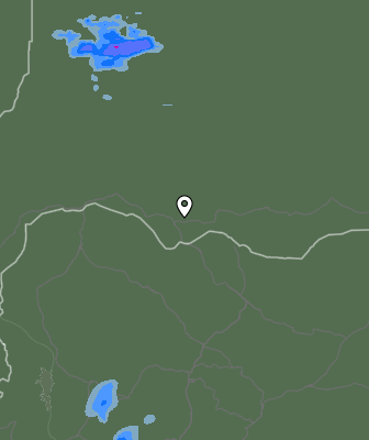 Валежи