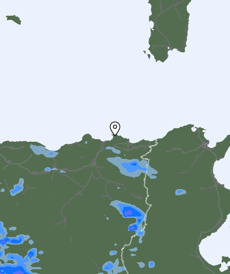 Валежи