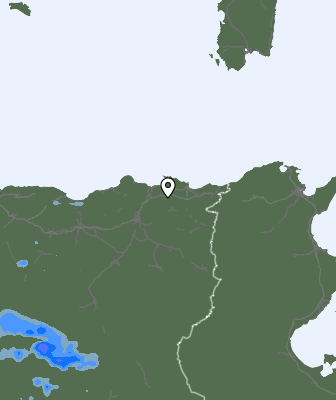 Валежи