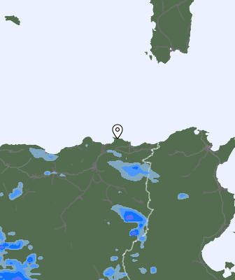 Валежи