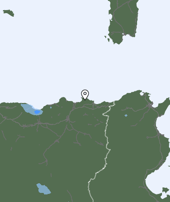 Валежи