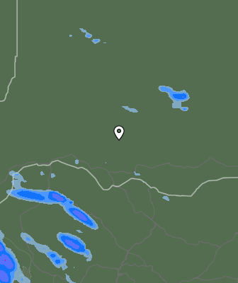 Валежи