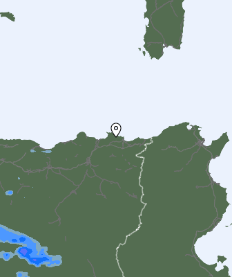 Валежи