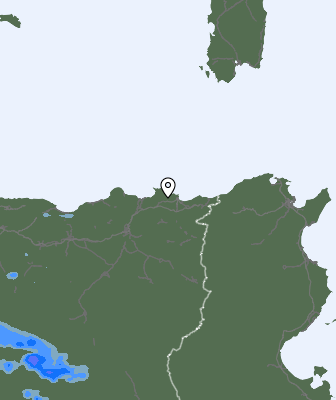 Валежи