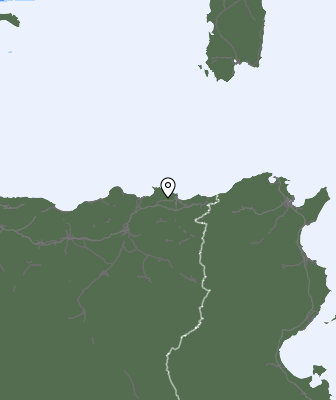 Niederschlagsprognose