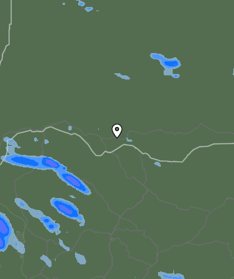 Валежи