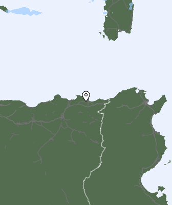 Niederschlagsprognose