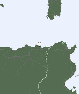 Niederschlagsprognose