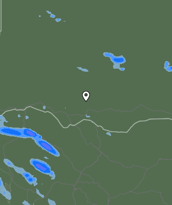 Валежи