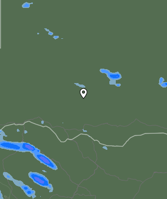 Валежи