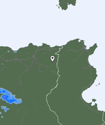 Валежи