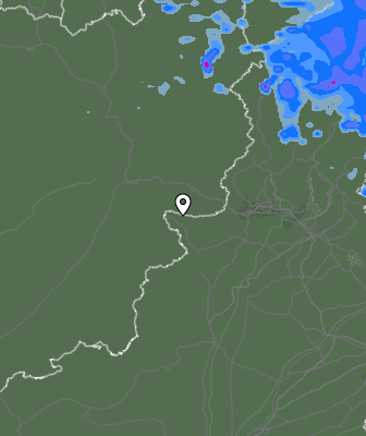 Валежи