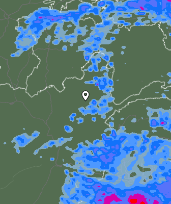 Niederschlagsprognose