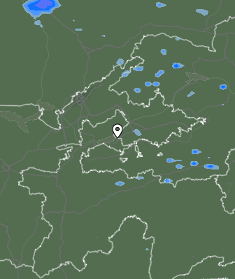 Niederschlagsprognose