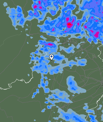 Валежи