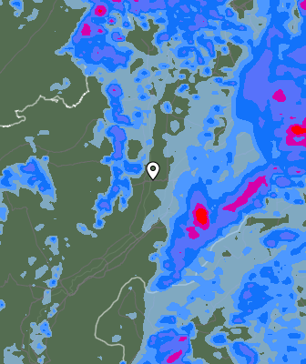 Валежи