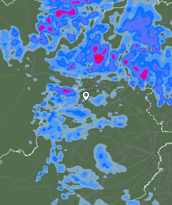 Валежи