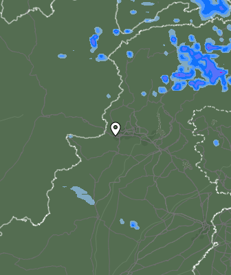 Валежи